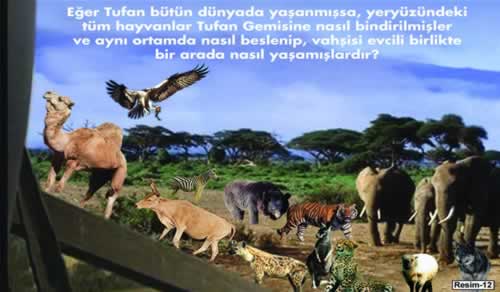 (Resim-12)
